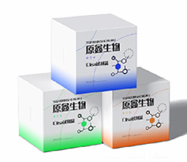 人CD14分子(CDl4)试剂盒