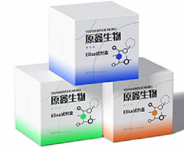 人可溶性细胞因子受体(sCKR)试剂盒