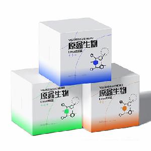 白介素20(IL20)elisa检测试剂盒